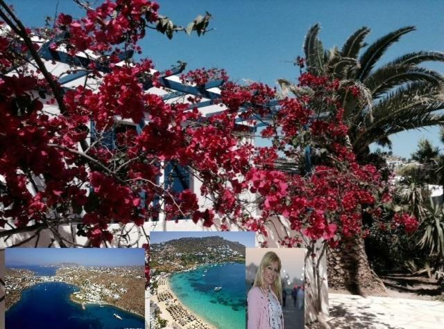 Magical Ornos! Beach House!Beach 1' Walk-Mykonos Town 2Km Exterior photo